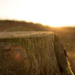 Jeff Almeron(follow me on Facebook)