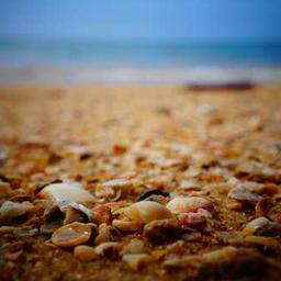 Instagram:  @Arthur_cury_jw